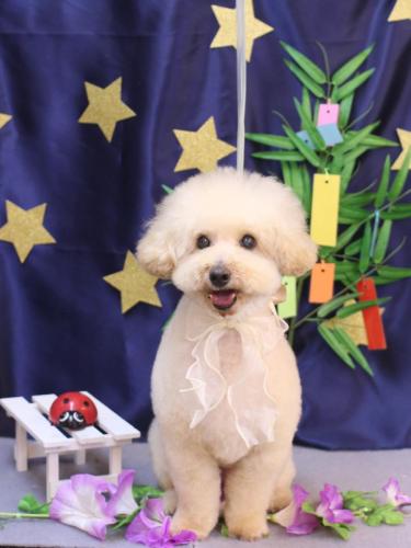 20230719こじろうくん